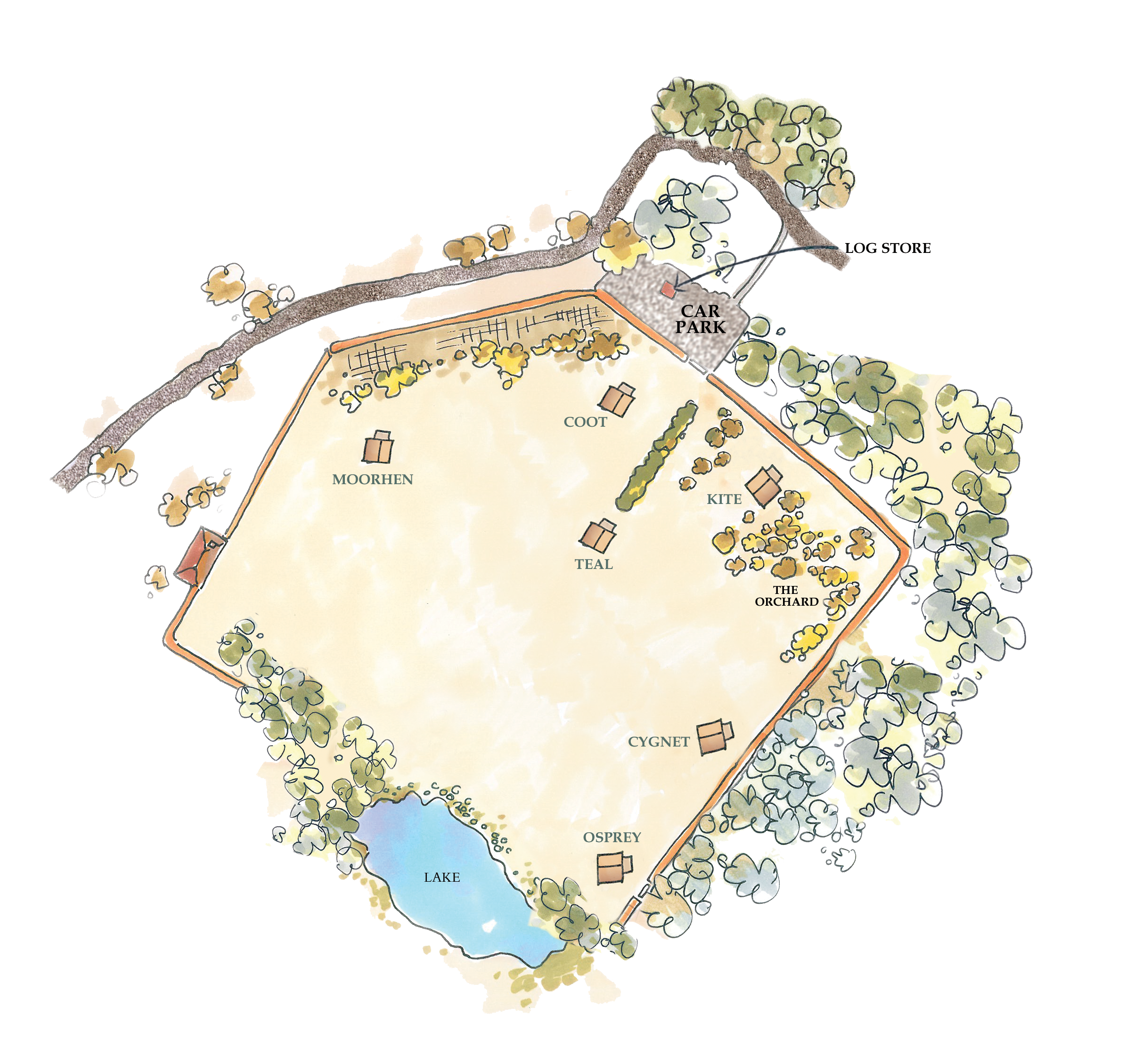Hand-drawn top-down site map of Exton Park campsite in Rutland: a roughly pentagonal open field bordered by trees with a small lake at the southwest corner, a car park at the northeast entrance, and seven named tents (Moorhen, Coot, Teal, Kite, The Orchard, Cygnet, Osprey) spaced throughout the grassy area; a compost loo is near the northwest edge, and the entire field is enclosed by a thin track and woodland.