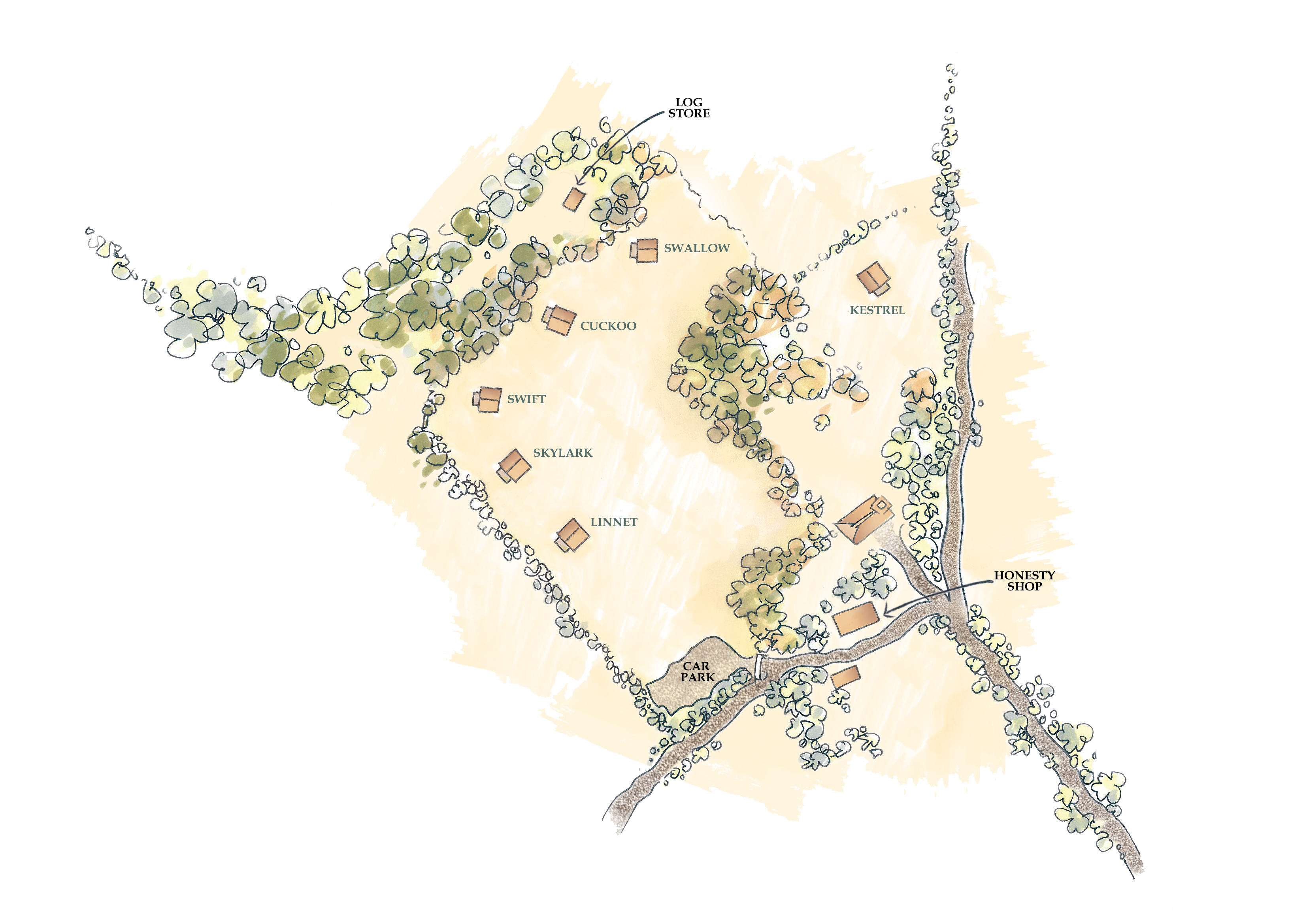 Hand-drawn top-down site map of Sweffling campsite in Suffolk: an open field bordered by trees, with seven named tents (Swallow, Cuckoo, Swift, Skylark, Linnet, Kestrel) spread throughout the grassy area; a car park is at the southern entrance, near an honesty shop and a few small buildings, and a log store is located at the northern edge of the site. Winding tree-lined paths connect the areas, and the tents are spaced along the central and western parts of the site.