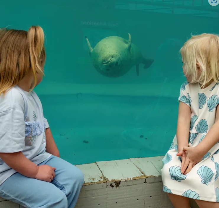 Sea Life Centre, Hunstanton